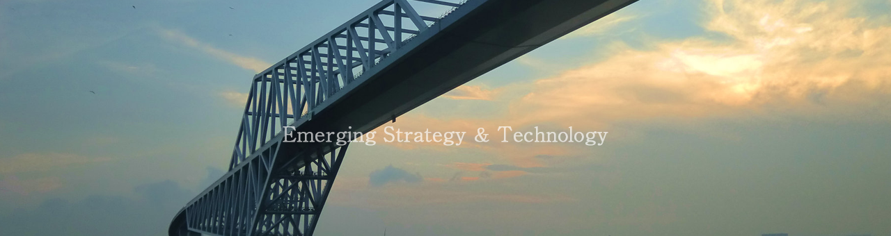 Emerging Strategy & Technology